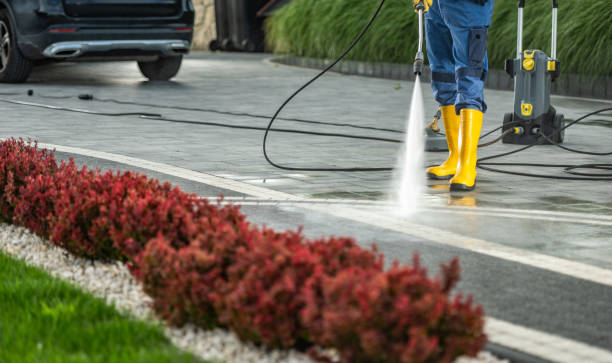 Best Solar Panel Cleaning  in Countryside, VA